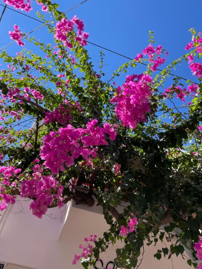 Halkidiki Greek Pride Ηotel And Apartments Skála Foúrkas Zewnętrze zdjęcie