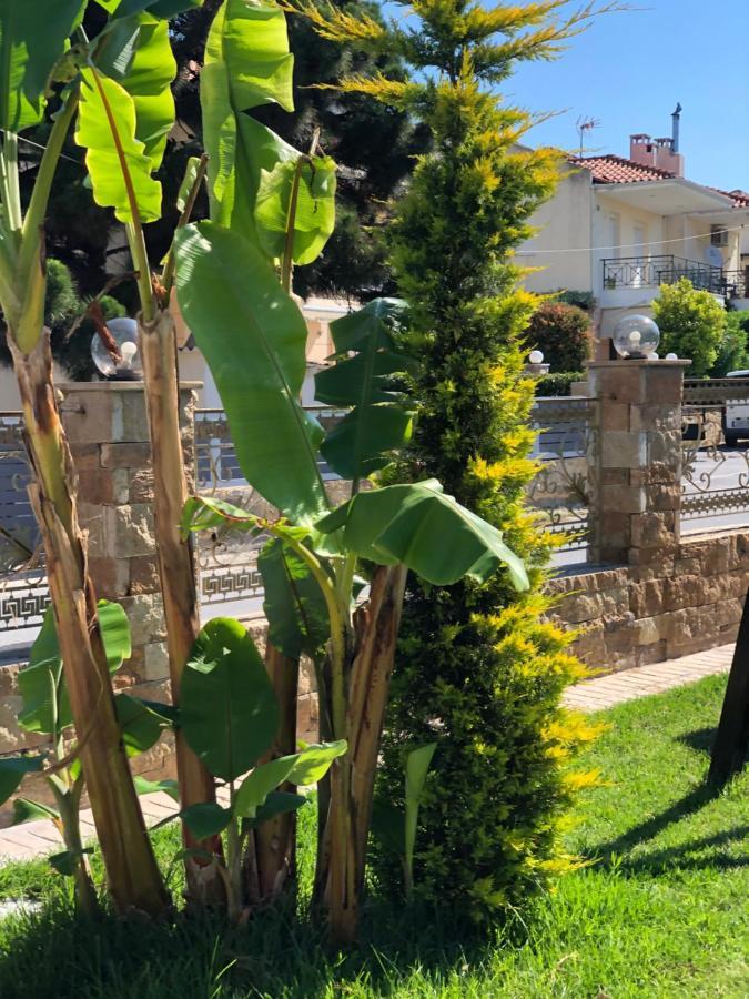Halkidiki Greek Pride Ηotel And Apartments Skála Foúrkas Zewnętrze zdjęcie